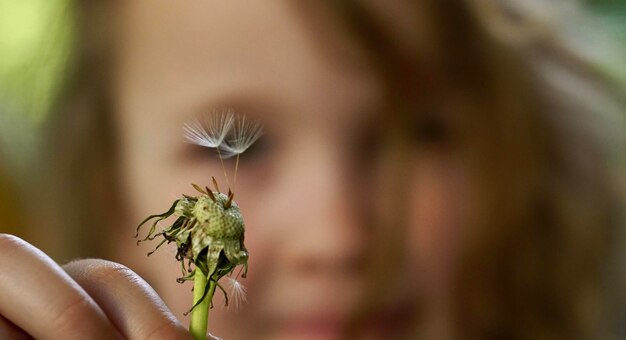 Foto close-up van een kleine plant die met de hand wordt vastgehouden