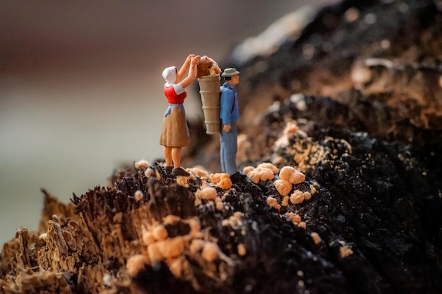 Foto close-up van een knuffeltje op het veld