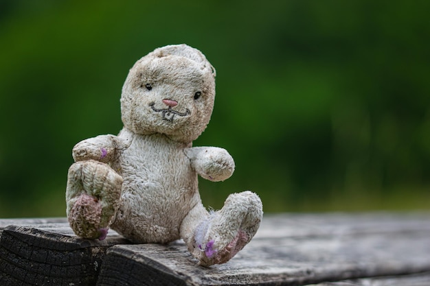 Foto close-up van een knuffeltje