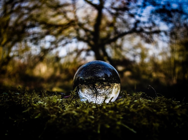 Close-up van een kristallen bol op het veld