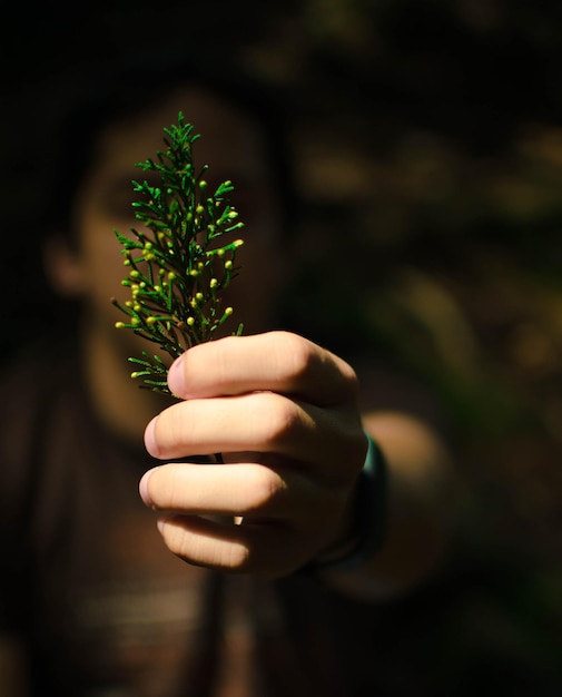 Foto close-up van een man die een plant vasthoudt in een donkere kamer