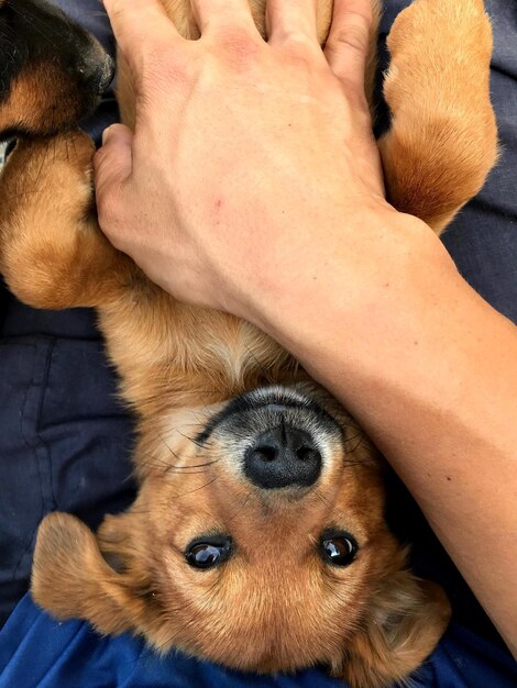 Foto close-up van een man met een hond