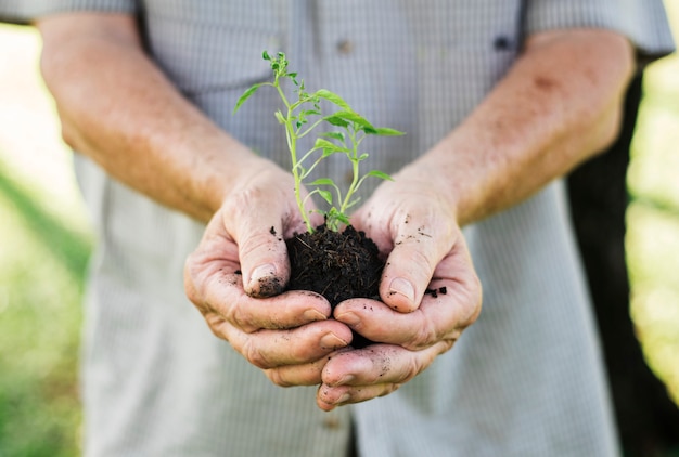 Close-up van een man met een kleine plant