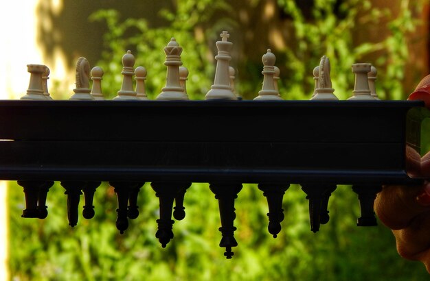 Foto close-up van een menselijke hand die een schaakbord tegen planten vasthoudt