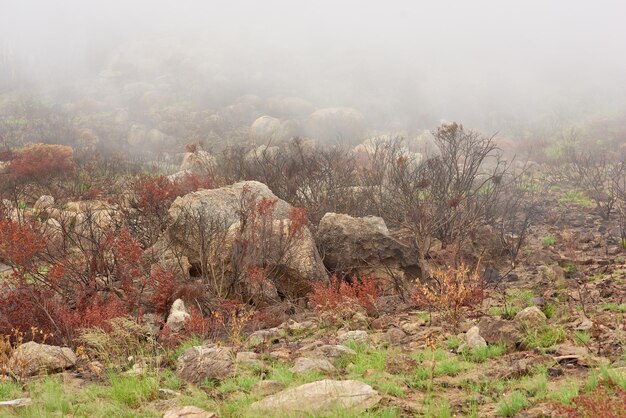 Close-up van een met smog bedekte berg met dikke rokerige lucht en copyspace Beschadigd en verschroeid landschap van rotsachtige heuvels en nevel Bosbrand die de verspreiding vernietigt en milieuschade veroorzaakt