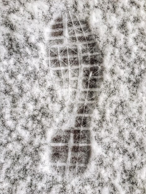 Close-up van een met sneeuw bedekte boom