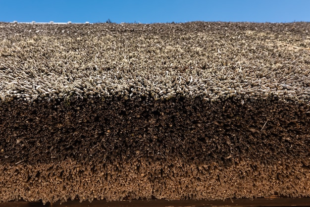 Close-up van een met stro bedekt dak van rijststro van een oud traditioneel Japans huis.