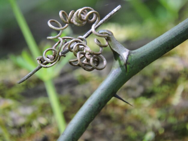 Foto close-up van een metalen ketting