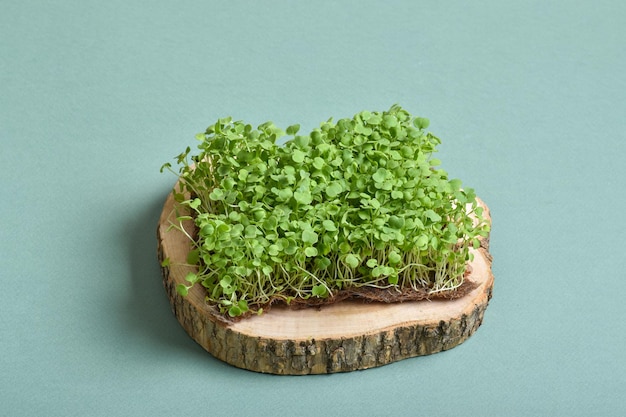 Close-up van een microgroene rucola op een houten ondergrond op een groene achtergrond