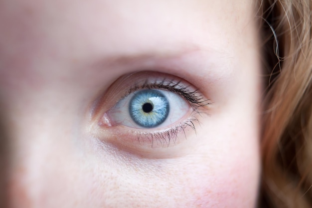 Close-up van een mooi vrouwelijk blauw oog