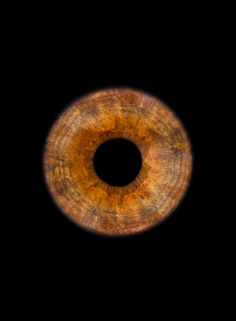 close-up van een oogiris op zwarte muur