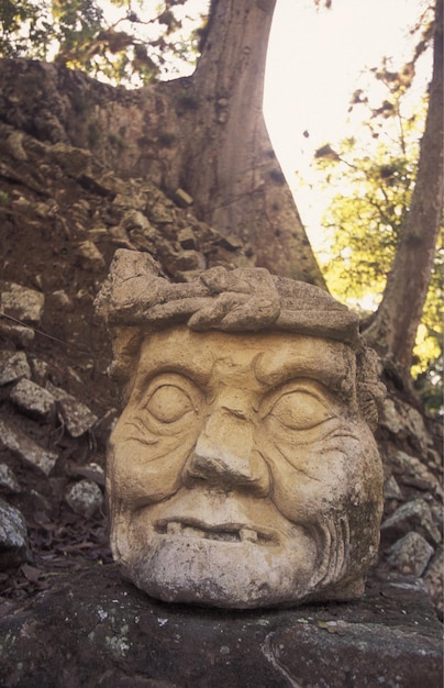 Foto close-up van een oud beeld op een boomstam