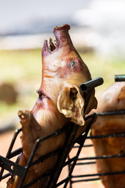 Foto close-up van een paard