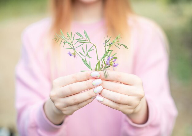 Close-up van een paarse bloeiende plant in de hand