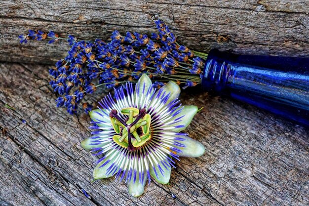 Foto close-up van een paarse bloem op hout