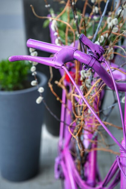 Foto close-up van een paarse fiets geparkeerd door potplanten