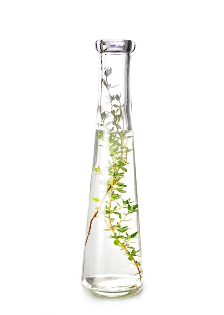 Close-up van een plant die groeit in een glazen pot tegen een witte achtergrond