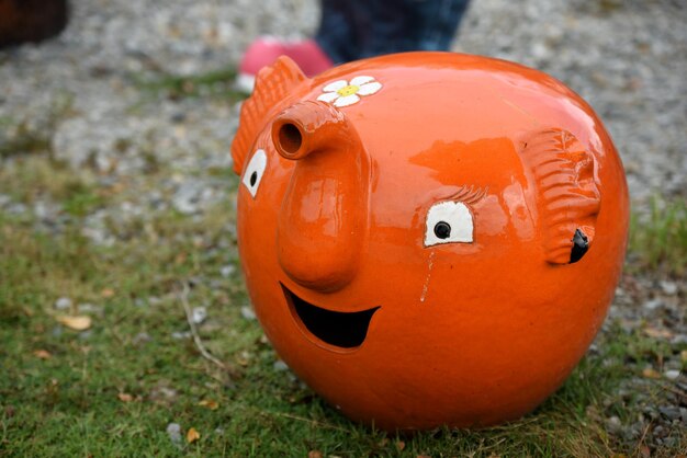 Foto close-up van een pompoen op het veld