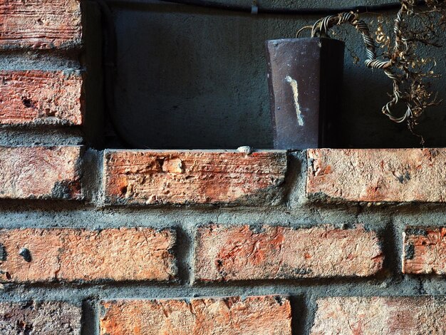 Foto close-up van een potplant op een bakstenen muur