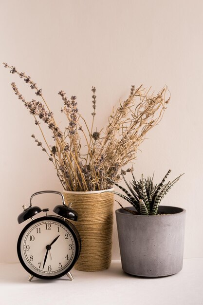 Foto close-up van een potplant op tafel tegen de muur