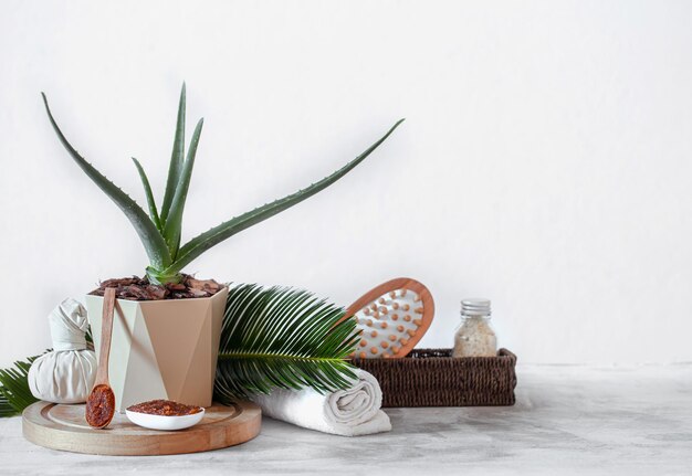 Close-up van een potplant op tafel tegen de muur