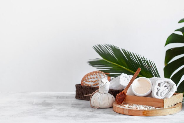 Close-up van een potplant op tafel tegen een witte achtergrond