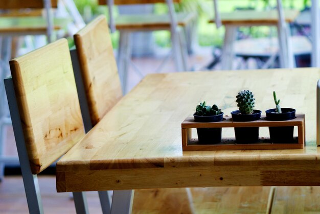 Foto close-up van een potplant op tafel