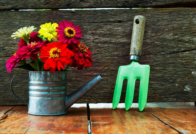 Foto close-up van een potplant op tafel