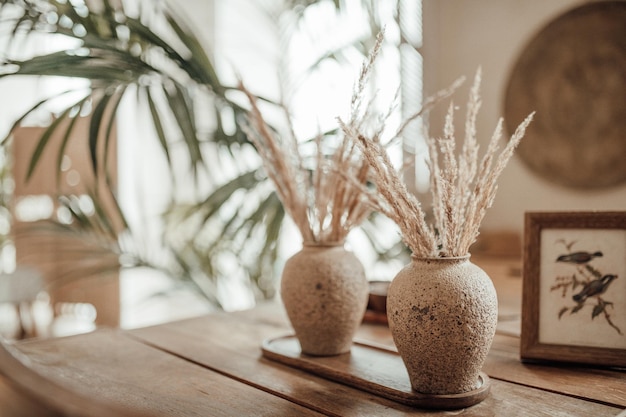 Foto close-up van een potplant op tafel