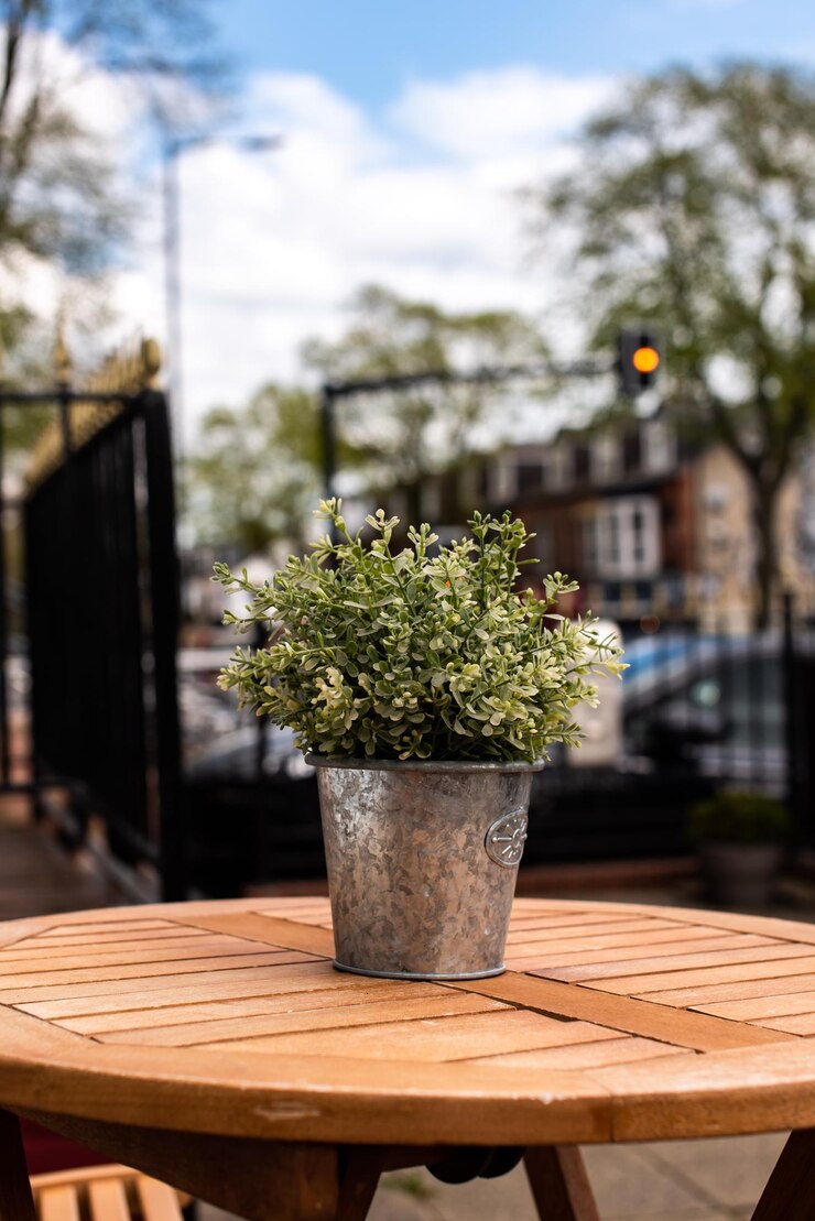 Foto close-up van een potplant op tafel