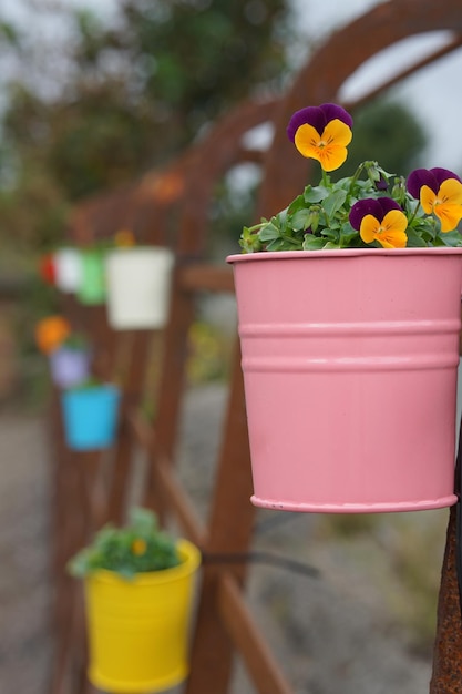 Foto close-up van een potplant op tafel