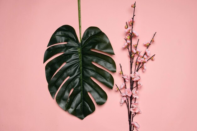 Foto close-up van een potplant tegen de muur