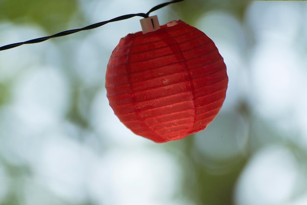 Close-up van een rood blad dat aan een boom hangt