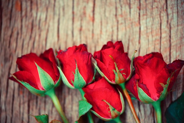 Foto close-up van een rood bloeiende plant op tafel