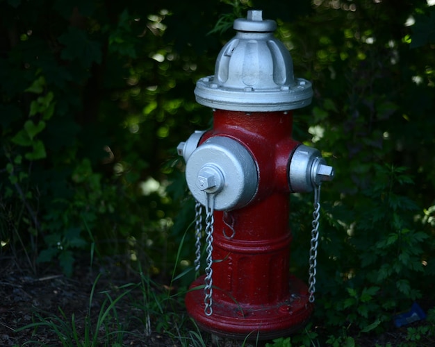 Close-up van een rood object op de muur