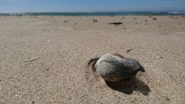 Foto close-up van een rots op het strand