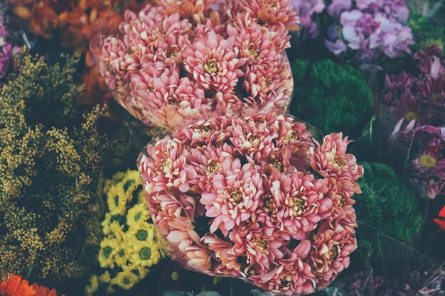 Foto close-up van een roze bloeiende plant