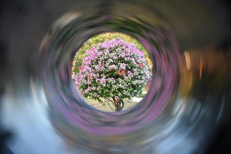 Foto close-up van een roze bloeiende plant