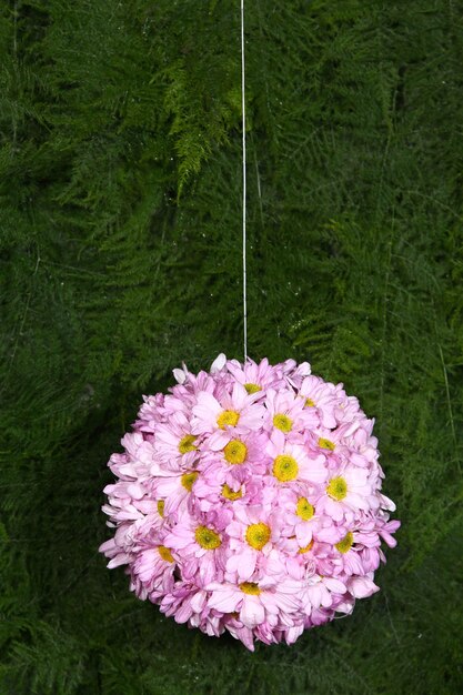 Foto close-up van een roze bloem die aan een plant hangt