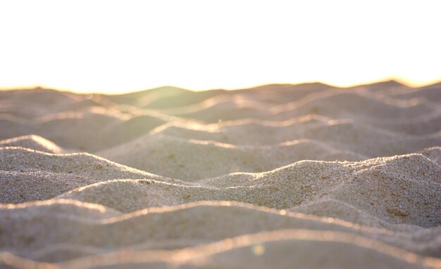 Close-up van een schoon geel zandoppervlak dat het strand aan zee bedekt, verlicht met avondlicht. Reis- en vakantieconcept