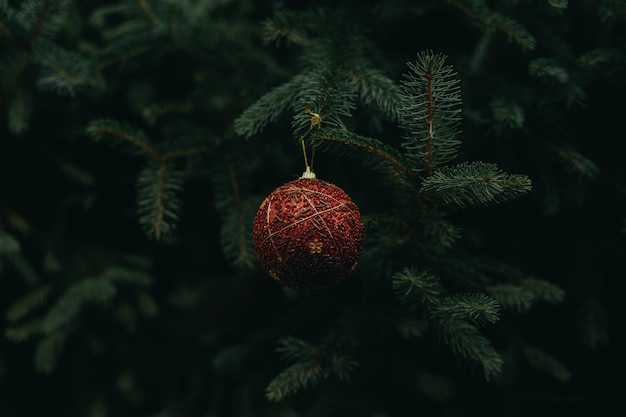 Close-up van een sieraad opgehangen aan een kerstboom