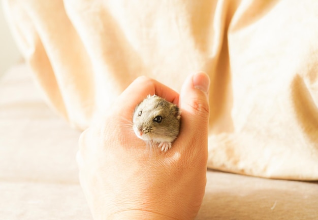 Close-up van een slak die een hand vasthoudt