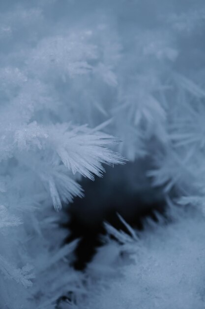 Foto close-up van een sneeuwwinterwandeling door langental zuid-tirol