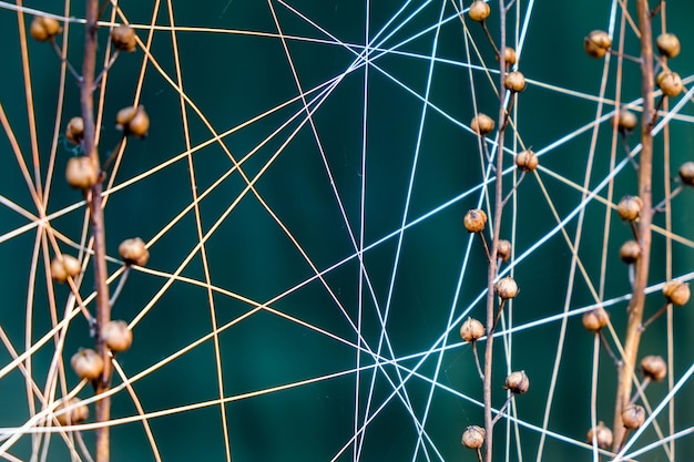Foto close-up van een spinnenweb op een metalen hek