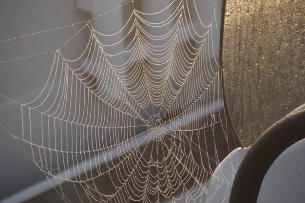 Close-up van een spinnenweb