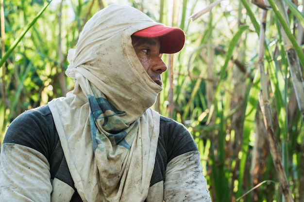 close-up van een suikerrietboer, werkend in een suikerrietveld, met zweet op zijn gezicht.