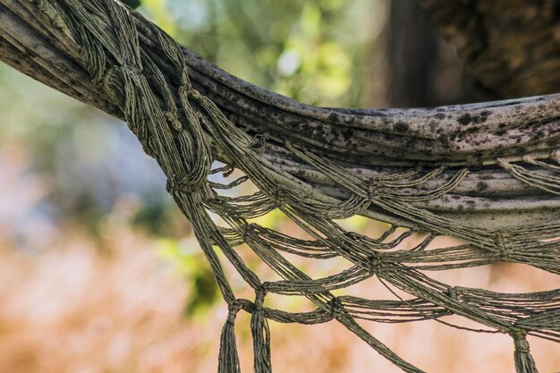 Foto close-up van een touw op een boomstam