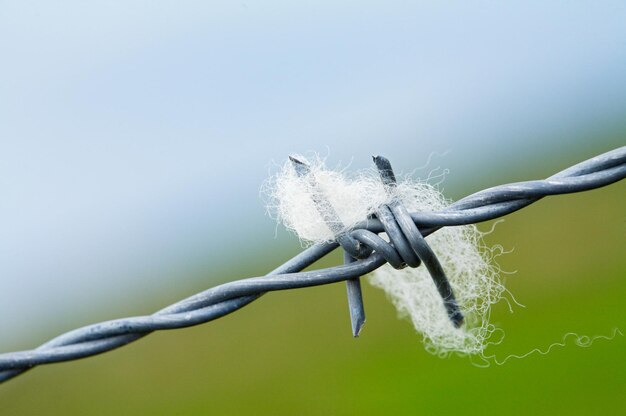 Close-up van een touw vastgebonden aan een metalen hek