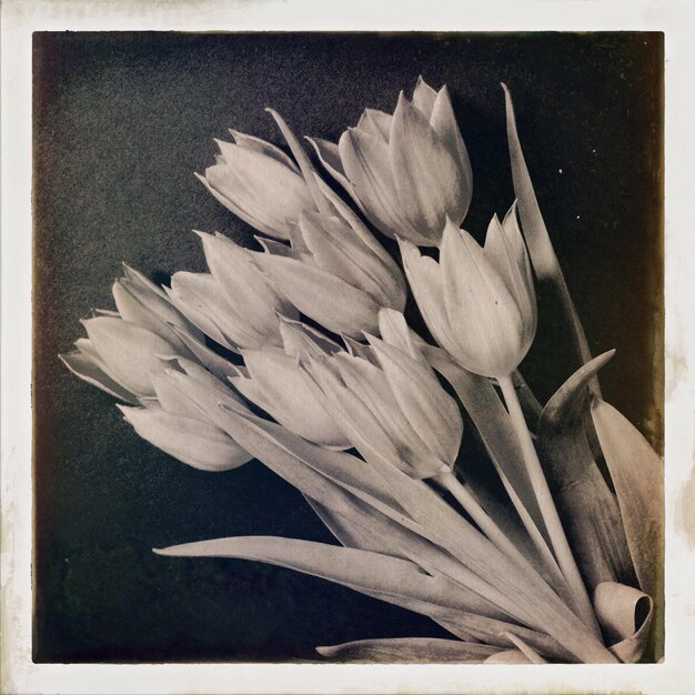 Foto close-up van een tulpenboeket op tafel