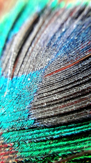 Foto close-up van een veelkleurig patroon